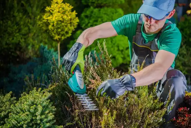 landscaping services Caseville